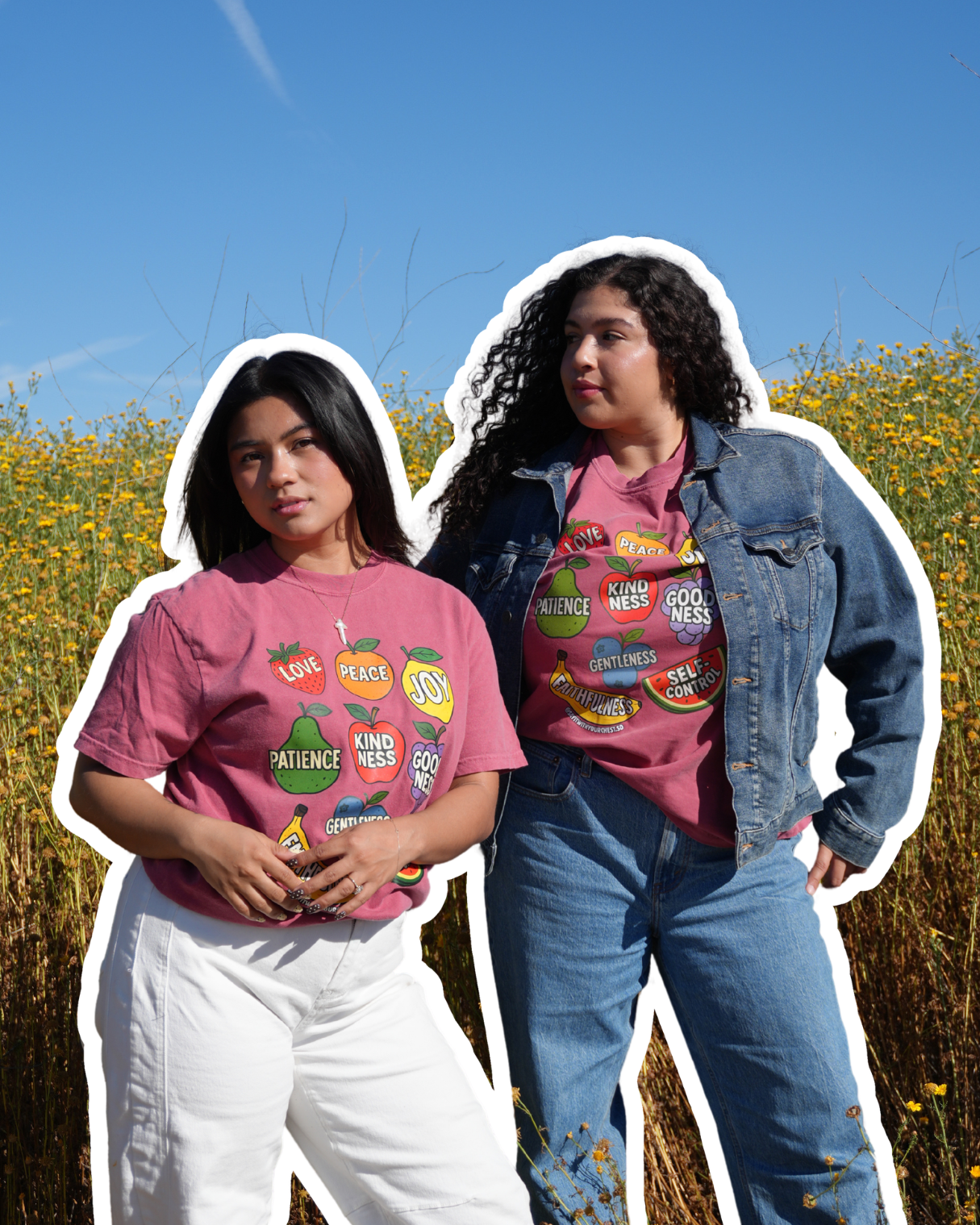 Fruits of the Spirit Shirt